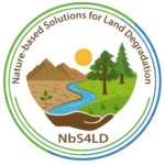 NbS4LD